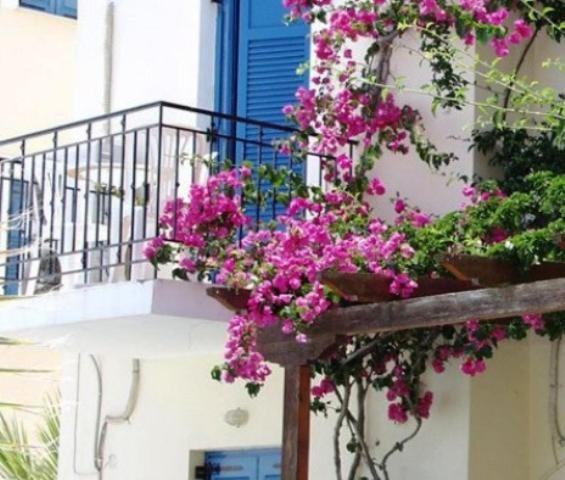 Lianos Hotel Apartments Σπέτσες Εξωτερικό φωτογραφία
